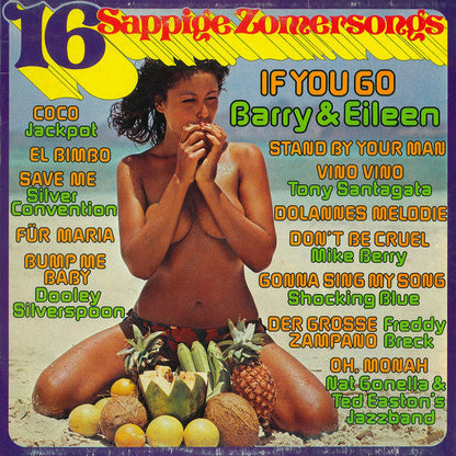 Various - 16 Sappige Zomersongs (LP) Vinyl LP Vinyl Very Good (VG) <br> Hoes Good Plus (G+)