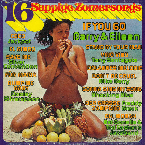 Various - 16 Sappige Zomersongs (LP) 41262