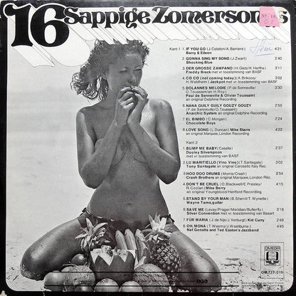 Various - 16 Sappige Zomersongs (LP) Vinyl LP Vinyl Very Good (VG) <br> Hoes Good Plus (G+)