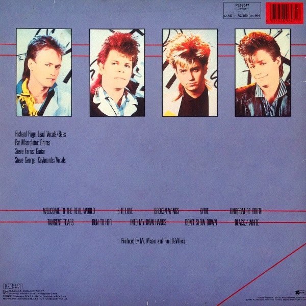 Mr. Mister - Welcome To The Real World (LP) Vinyl LP Vinyl Very Good (VG) <br> Hoes Good Plus (G+)