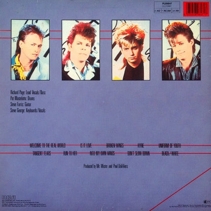Mr. Mister - Welcome To The Real World (LP) Vinyl LP Vinyl Very Good (VG) <br> Hoes Good Plus (G+)