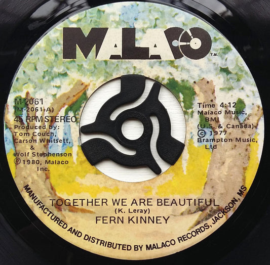 Fern Kinney - Together We Are Beautiful 35317 Vinyl Singles VINYLSINGLES.NL