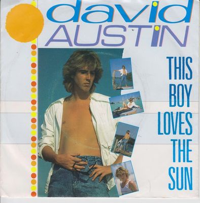 David Austin - This Boy Loves The Sun