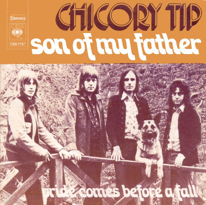 Chicory Tip - Son Of My Father