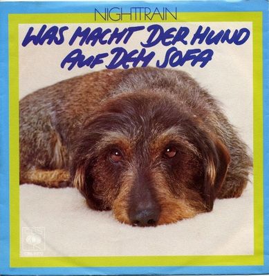 Nighttrain - Was Macht Der Hund Auf Dem Sofa Vinyl Singles Vinyl (VG) <br> Hoes (G+)