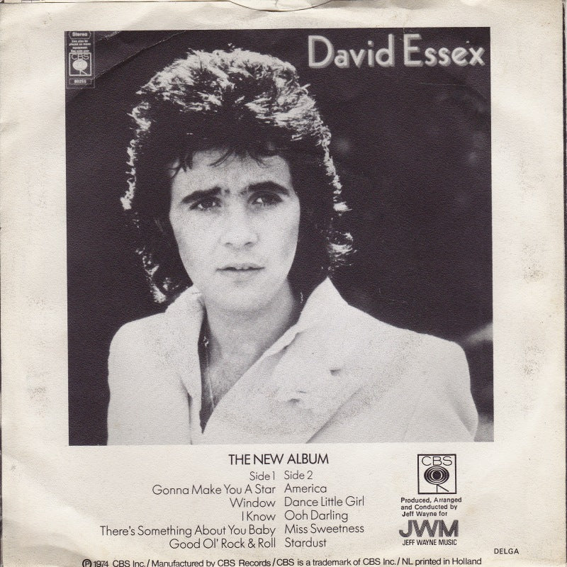 David Essex - Stardust Vinyl Singles Vinyl Very Good (VG) <br> Hoes Good Plus (G+)