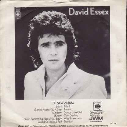 David Essex - Stardust Vinyl Singles Vinyl Very Good (VG) <br> Hoes Good Plus (G+)