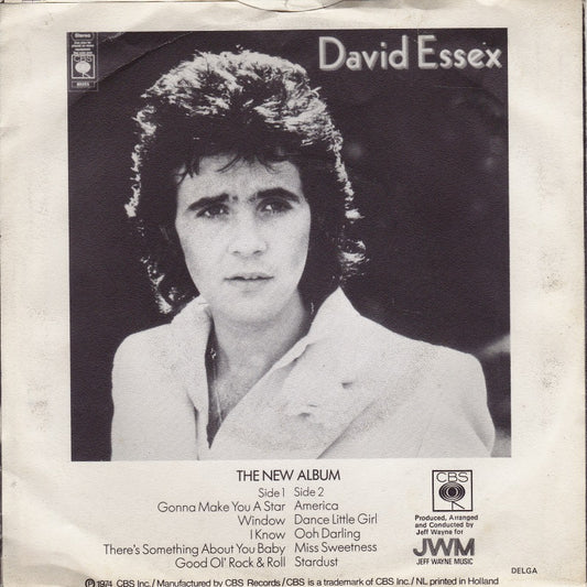 David Essex - Stardust