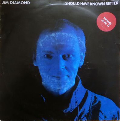 Jim Diamond - I Should Have Known Better