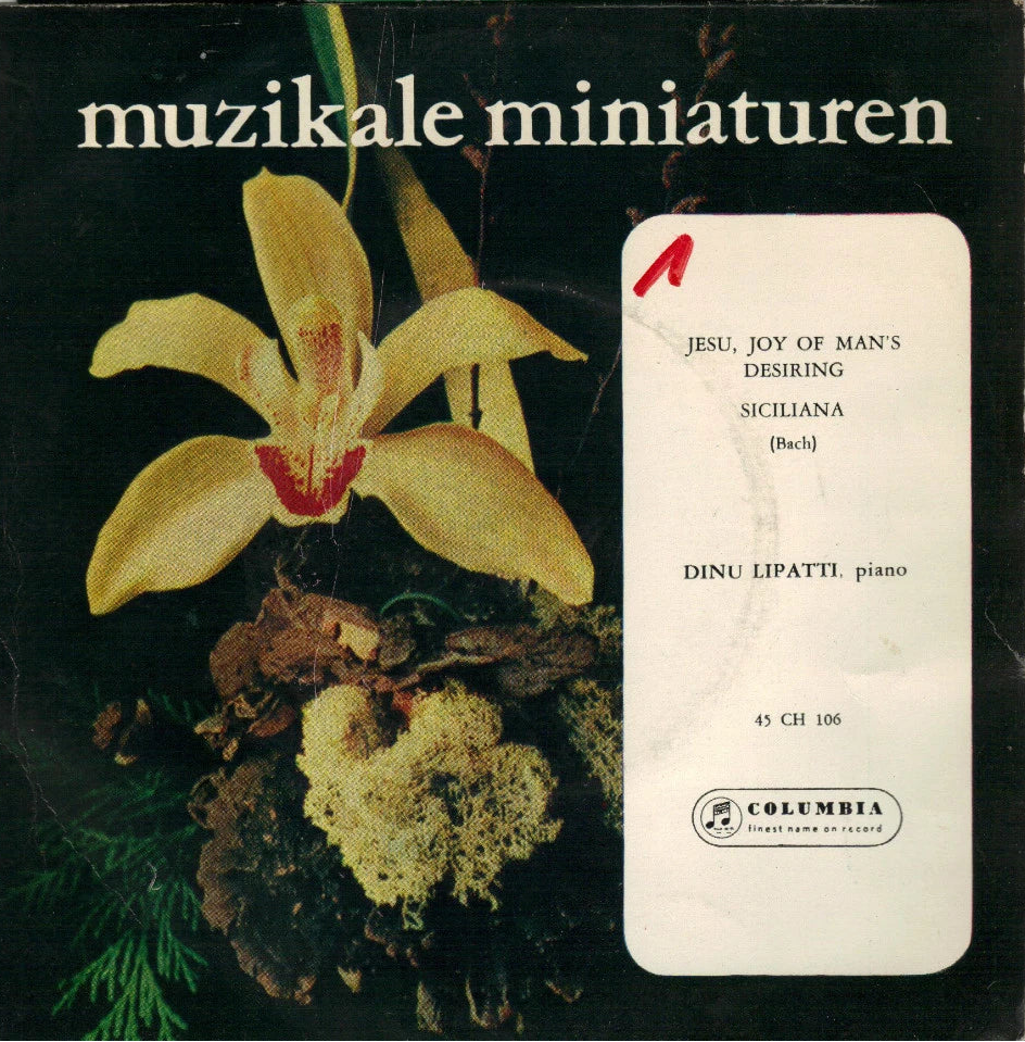 Johann Sebastian Bach - Jesu, Joy Of Man's Desiring