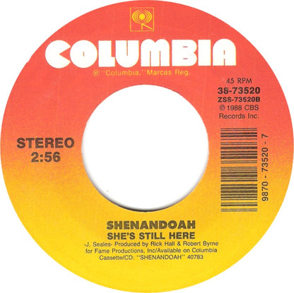 Shenandoah - Ghost In This House Vinyl Zeer Goed / Hoesje Generic "VINYLSINGLES.NL"