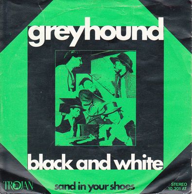 Greyhound  - Black And White