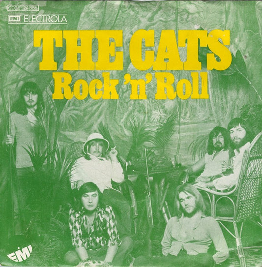Cats - Rock 'n' Roll (B-Keus) Vinyl Singles Vinyl (VG) <br> Hoes Plakband