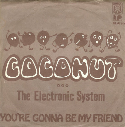 Electronic System - Coconut
