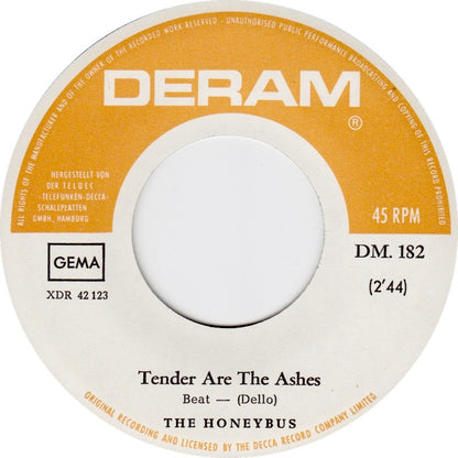 Honeybus - I Can't Let Maggie Go