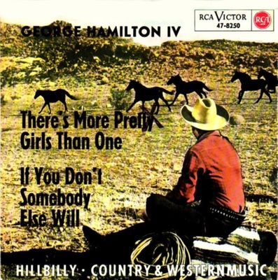 Jim Reeves - Adios Amigo