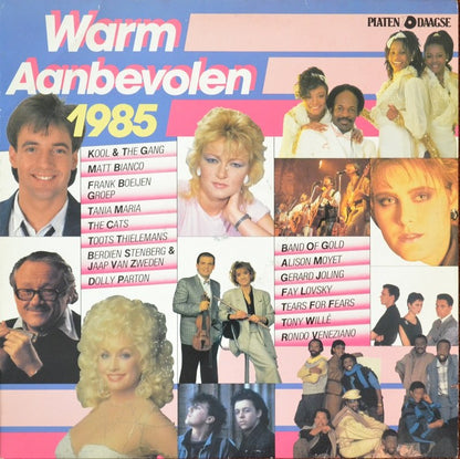 Various - Warm Aanbevolen (LP) Vinyl LP Vinyl Very Good (VG) <br> Hoes Good Plus (G+)