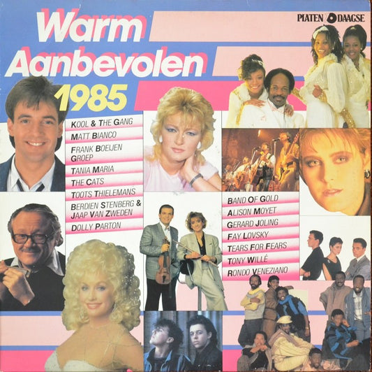 Various - Warm Aanbevolen (LP) Vinyl LP Vinyl Very Good (VG) <br> Hoes Good Plus (G+)