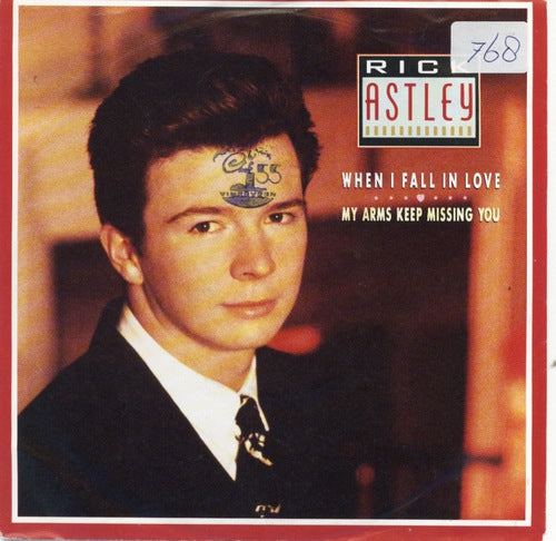 Rick Astley - When I Fall In Love 25602 Vinyl Singles Goede Staat