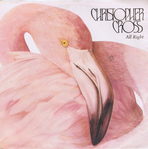 Christopher Cross - All Right 09498 04076 Vinyl Singles VINYLSINGLES.NL