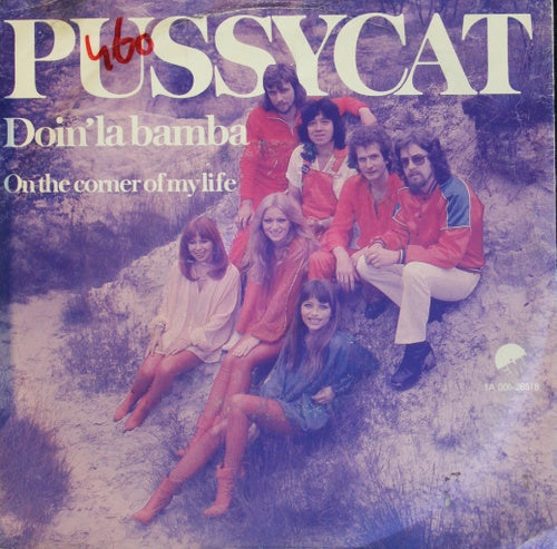 Pussycat - Doin' La Bamba 14842 04341 29764 36193 Vinyl Singles Goede Staat