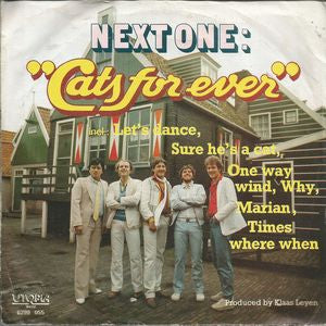 Next One - Cats For Ever 10620 12492 17701 30644 Vinyl Singles VINYLSINGLES.NL