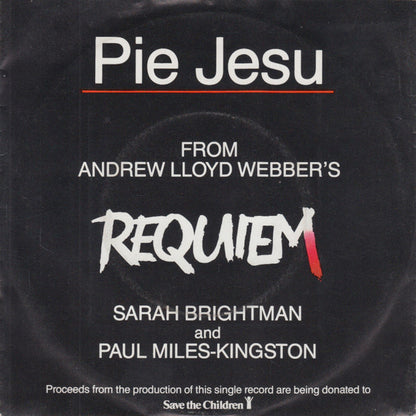 Sarah Brightman & Paul Miles-Kingston - Pie Jesu 14448 Vinyl Singles Goede Staat