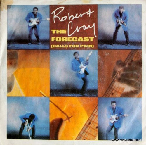 Robert Cray - The Forecast (Calls For Pain) 04661 Vinyl Singles VINYLSINGLES.NL