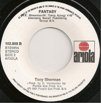 Tony Sherman & Julia Loko - Too Big For Words Vinyl Singles Goede Staat