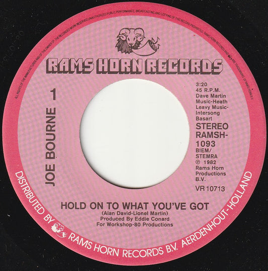 Joe Bourne - Hold On To What You've Got