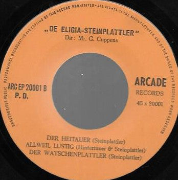 Eligia-Steinplattler - Zing En Dans Met De 12872 Vinyl Singles Goede Staat