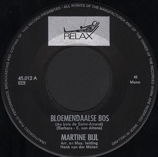 Martine Bijl - Bloemendaalse Bos 35081