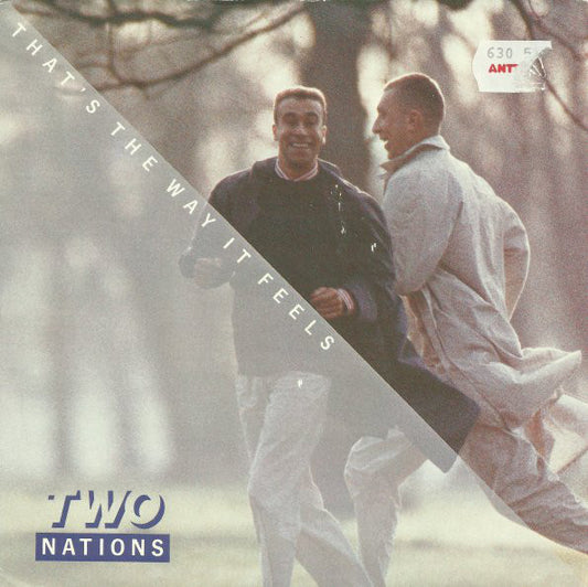 Two Nations - That's The Way It Feels (UK) 22753 Vinyl Singles Goede Staat