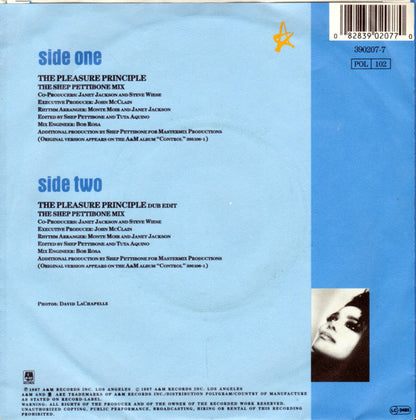 Janet Jackson - The Pleasure Principle Vinyl Singles VINYLSINGLES.NL