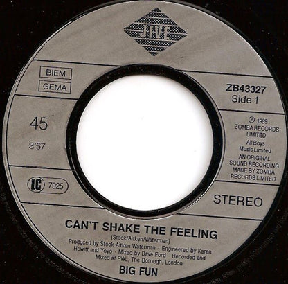 Big Fun ‎- Can't Shake The Feeling 14190 Vinyl Singles Goede Staat