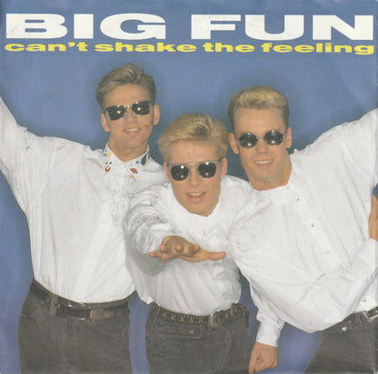 Big Fun ‎- Can't Shake The Feeling 14190 Vinyl Singles Goede Staat