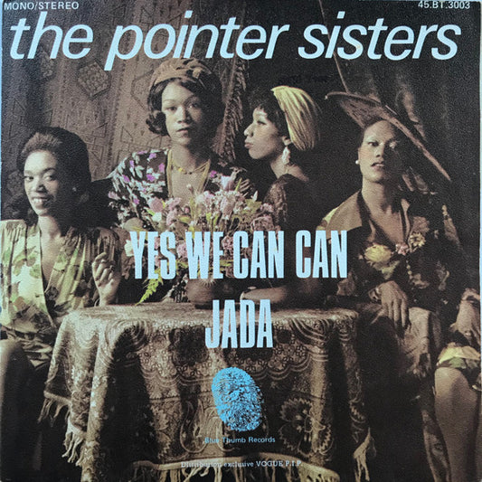 Pointer Sisters - Yes We Can Can 31338 Vinyl Singles VINYLSINGLES.NL
