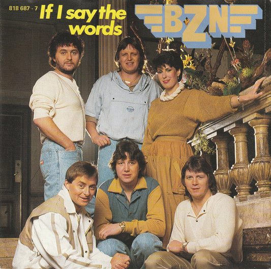 BZN - If I Say The Words 27814 16850 Vinyl Singles VINYLSINGLES.NL