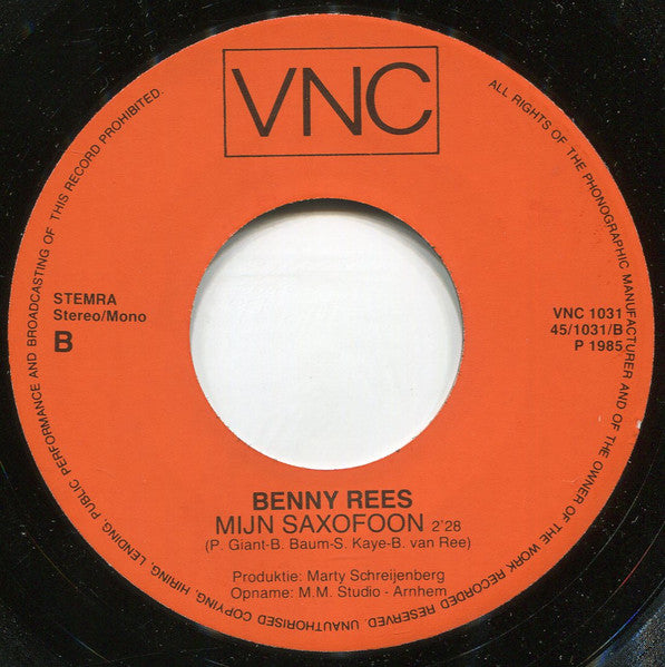 Benny Rees - Anneliesje 28759 36360 Vinyl Singles Goede Staat