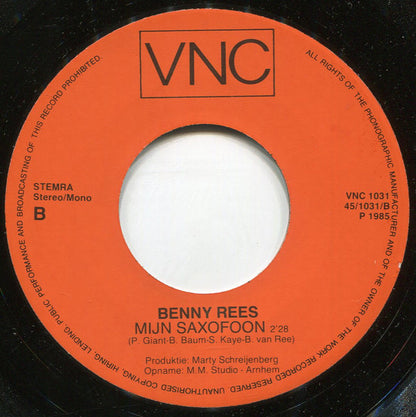 Benny Rees - Anneliesje 28759 36360 Vinyl Singles Goede Staat