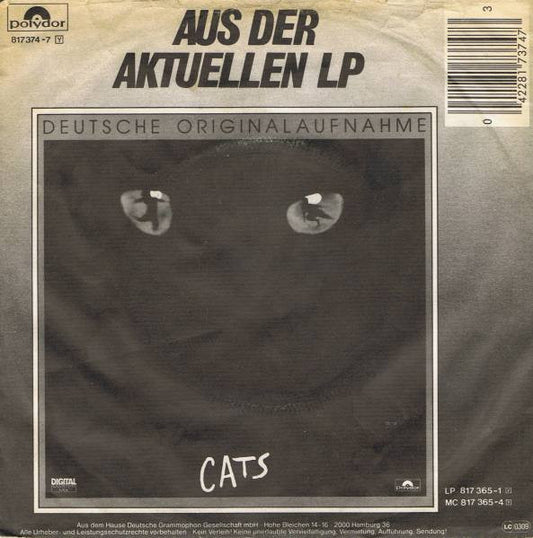 Angelika Milster - Erinnerung 39559 Vinyl Singles Vinyl Zeer Goed / Hoesje Goed "VINYLSINGLES.NL"