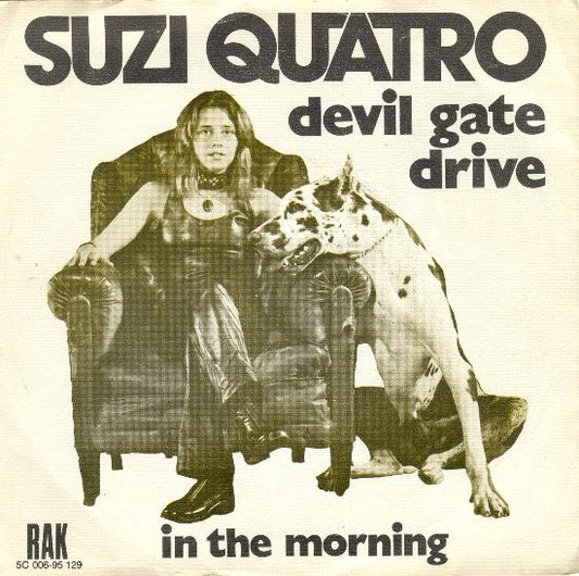 Suzi Quatro - Devil Gate Drive 34308 Vinyl Singles Goede Staat