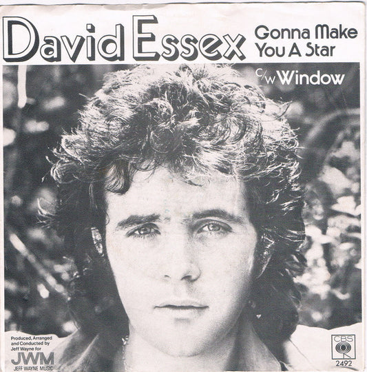 David Essex - Gonna Make You A Star Vinyl Singles Vinyl Very Good (VG) <br> Hoes Good Plus (G+)