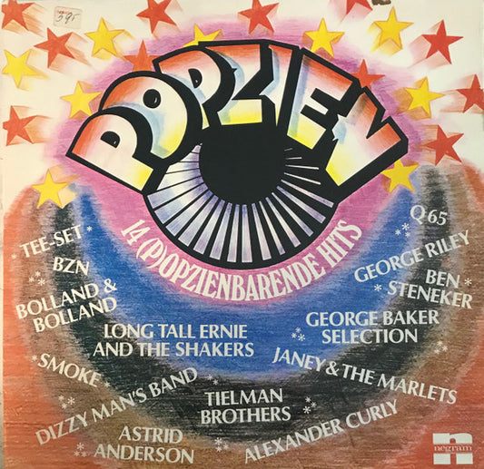 Various - Popzien - 14 (P)opzienbarende Hits (LP) 48313 Vinyl LP VINYLSINGLES.NL