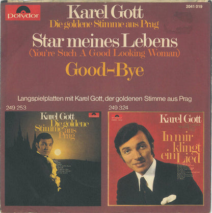 Karel Gott ‎- Star Meines Lebens 13826 Vinyl Singles VINYLSINGLES.NL