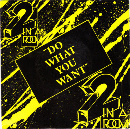 2 In A Room - Do What You Want 24678 Vinyl Singles Goede Staat