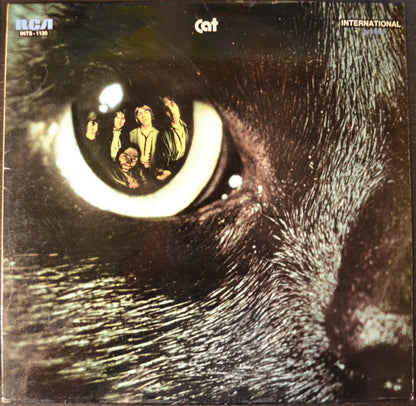 Cat - A New Kind Of Cat (LP) 49555 Vinyl LP Goede Staat