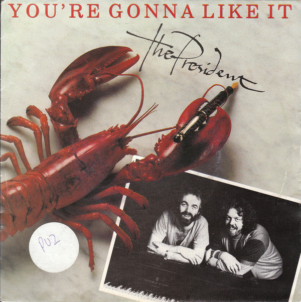 President - You're Gonna Like It Vinyl Singles Vinyl Very Good (VG) <br> Hoes Good Plus (G+)