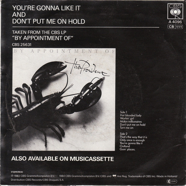 President - You're Gonna Like It Vinyl Singles Vinyl Very Good (VG) <br> Hoes Good Plus (G+)