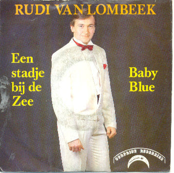 Rudi Van Lombeek - Een Stadje Bij De Zee 30982 Vinyl Singles VINYLSINGLES.NL